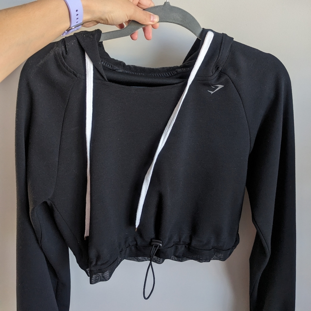 Whitney Simmons Crop Hoodie